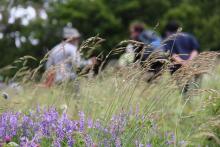 Concours prairies fleuries - Valgaudemar - juin 2015 - © Agnes Thiard - Parc national des Ecrins