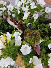 Fétiches de plantons de l'art -  Ecrins de nature 2017 - photo Cl.Chaboureau