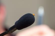 4-coccinelle à l'assaut d'un micro du Conseil d'administration du Parc national des Écrins
