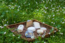 Le lait de chèvres, de brebis et de vaches et les produits laitiers © Parc National des Ecrins