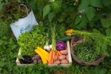 Fruits, légumes, champignons et plantes issues de la cueillette © Parc National des Ecrins