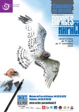 Affiche concours rapaces