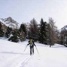 Tournée à ski dans l'Embrunais - © M. Coulon - PNE