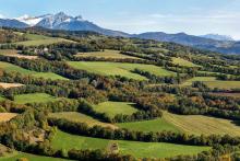Bocage du Champsaur du belvédère des 3 croix © P. Saulay - PNE