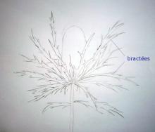 dessin n°2 (exemple)
