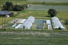 GAEC Les Jardins de l’Estang - production maraîchère en Agriculture Biologique - Gaëlle Laroche, Jérémie Couthouis et Antoine Détrie