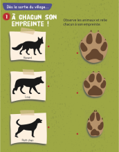 Animation pédagogique, classe Vallouise 2014-2015 - Blandine Delenatte - Parc national des Ecrins