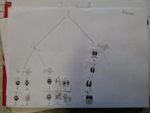 Traces et indices - école de Chauffayer- 2015-2016 © Parc national des Ecrins