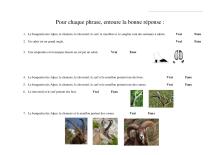 projet pédagogique Freney d'Oisans avec le Parc national des Ecrins - animaux sauvages - 2017-2018