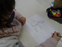 Intervention pédagogique à l'école du Freney-d'Oisans