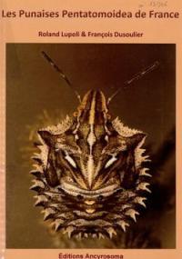 Les punaises Pentatomoidea de France © Ancyrosoma