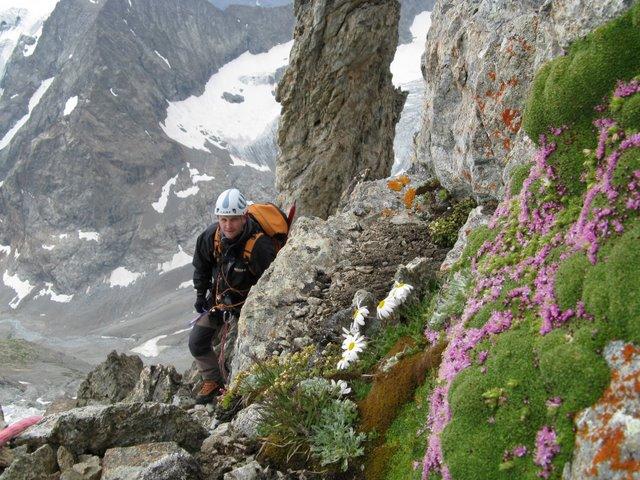 Programme écologie verticale - Parc national des Ecrins - ©  Sébastien Ibañez