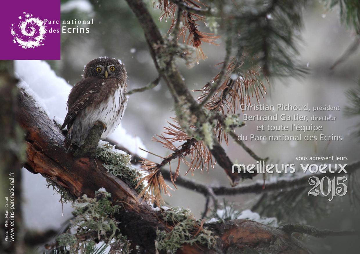 Carte de voeux 2015 - Parc national des Ecrins - © photo Marc Corail - maquette Anne-Lise Macle - PNE