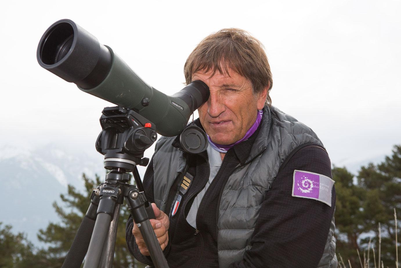 Comptage aigles royaux mars 2015 - © Pascal Saulay - Parc national des Ecrins