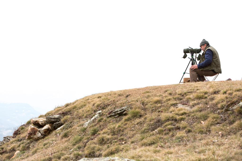 Comptage aigles royaux mars 2015 - © Pascal Saulay - Parc national des Ecrins