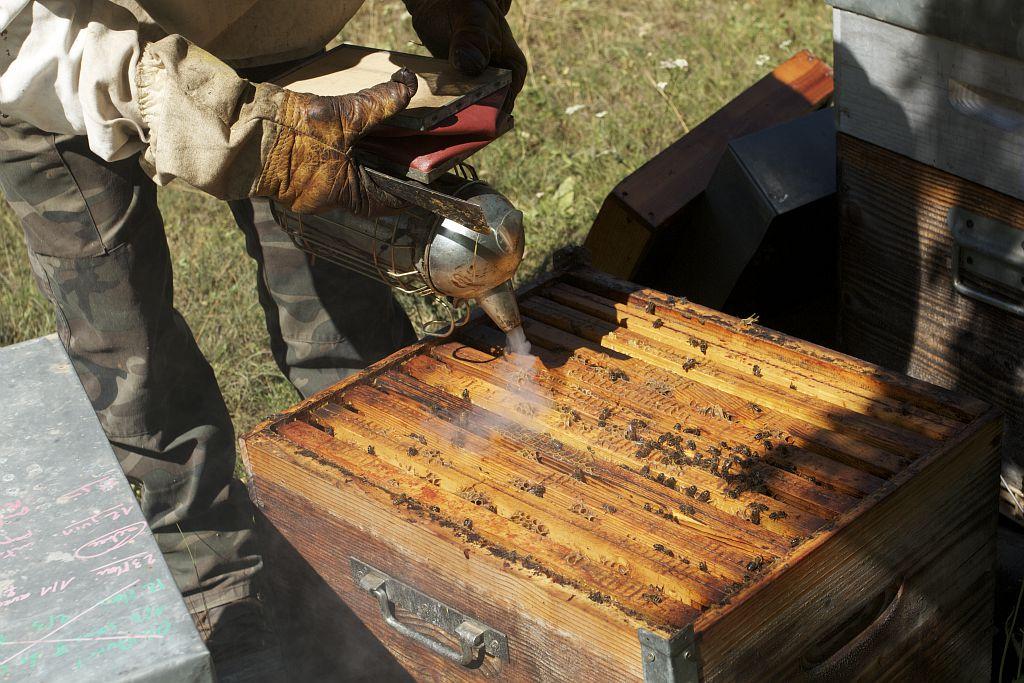 L'apiculteur, ses abeilles et leurs ruches - Jean-Philippe Telmon - Parc national des Ecrins