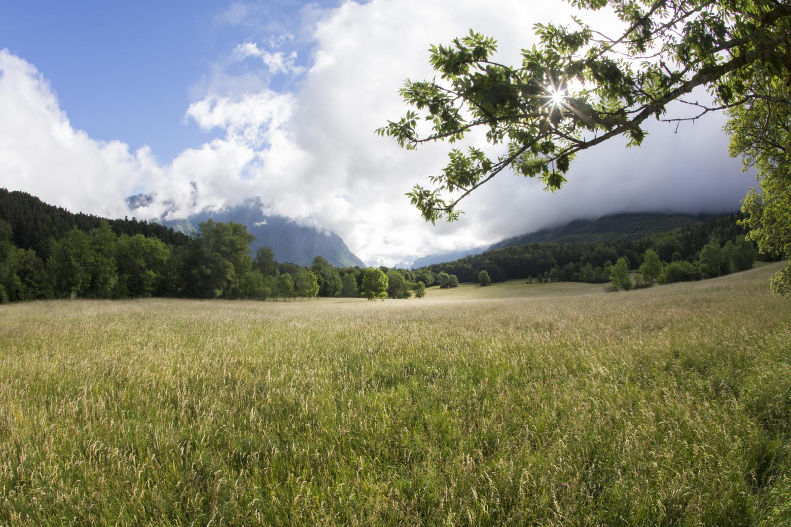 La parcelle du GAEC Holstein Passion (Xavier Maitretin et Stéphanie Gras-Lavigne) - Chauffayer © P.Saulay -Parc national des Ecrins 