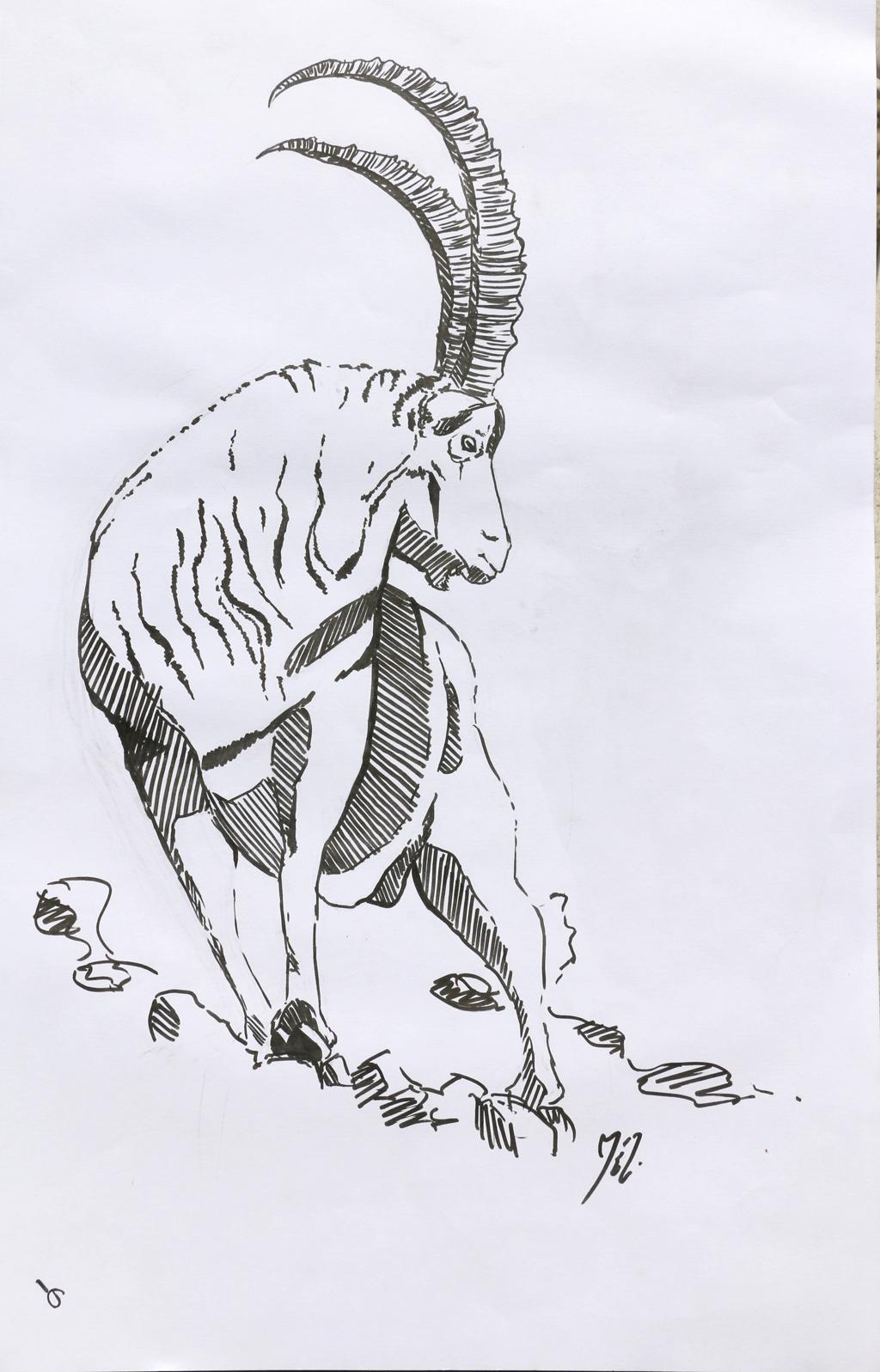 Mélanie Rey, premier prix adulte-Concours de dessins 2015  -Parc national des Ecrins