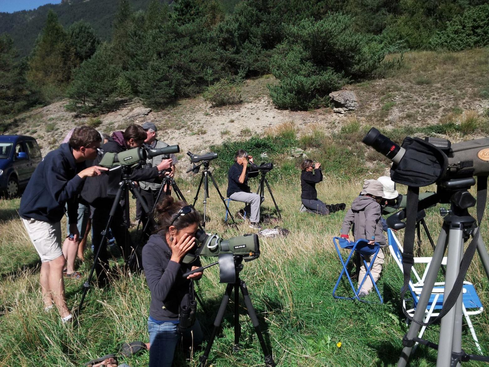 Observation comptage bondrées août 2015 © D.Combrisson - parc national des Ecrins