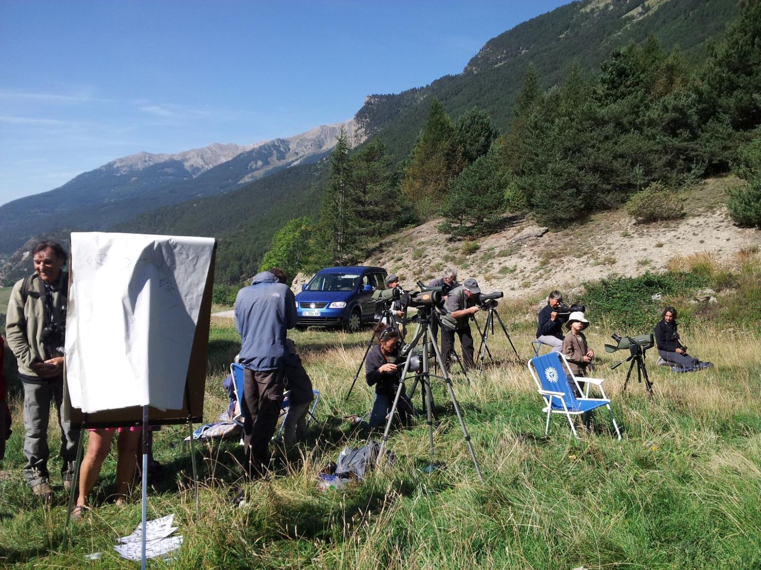 Observation comptage bondrées août 2015 © D.Combrisson - parc national des Ecrins