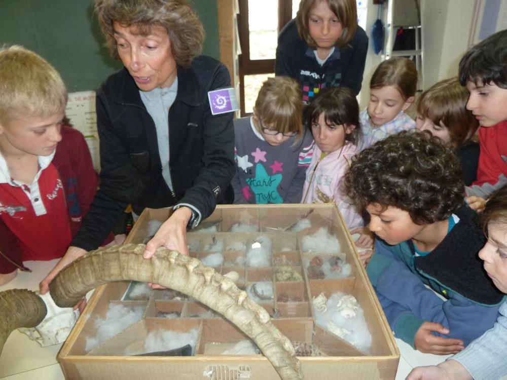 ecole des vigneaux - 2014-2015 avec le Parc national des Ecrins