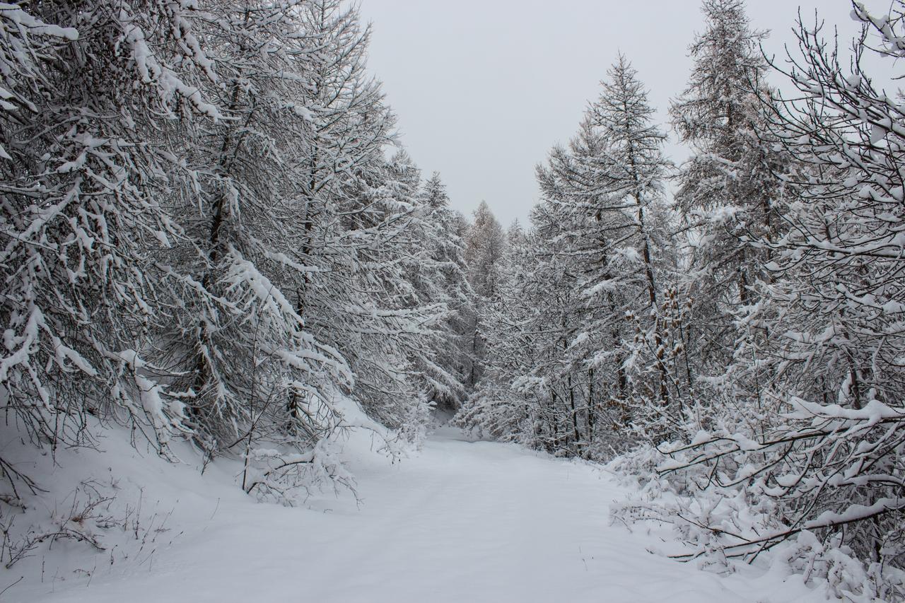 Premières neige à Champcella © C.Albert - Parc national des Ecrins