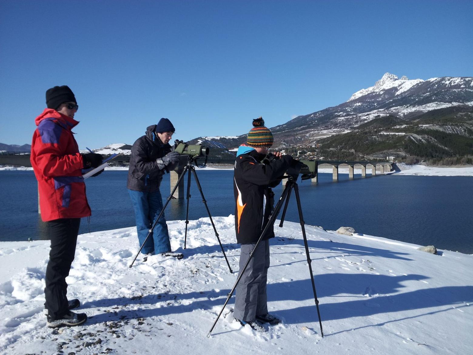 Comptage oiseaux d'eau Savines - © D.Combrisson - Parc national des Ecrins