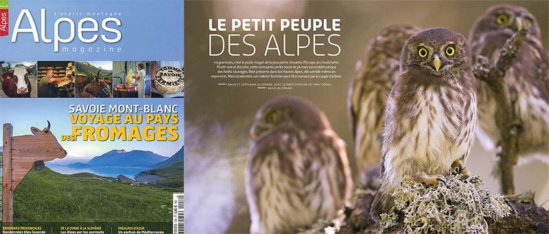 reportage chevêchette - Alpes mag