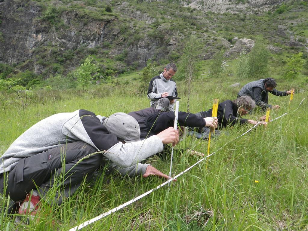 Calage mesures biomasse végétale - © Leïla Thouret - Parc national des Écrins