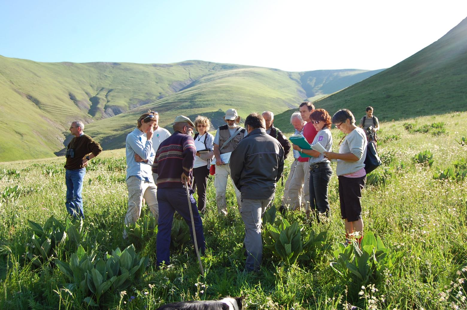 concours prairies fleuries en 2010 Haute-Romanche