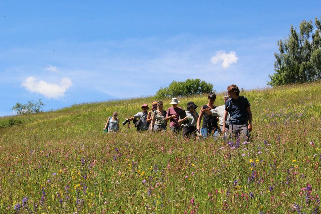 prairies fleuries - Briançonnais - concours 2016 - © Parc national des Écrins