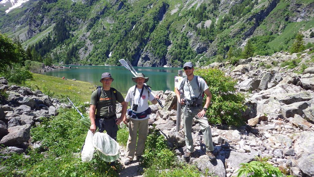 Prospection papillons -  -réserve intégrale du Lauvitel - Parc national des Ecrins