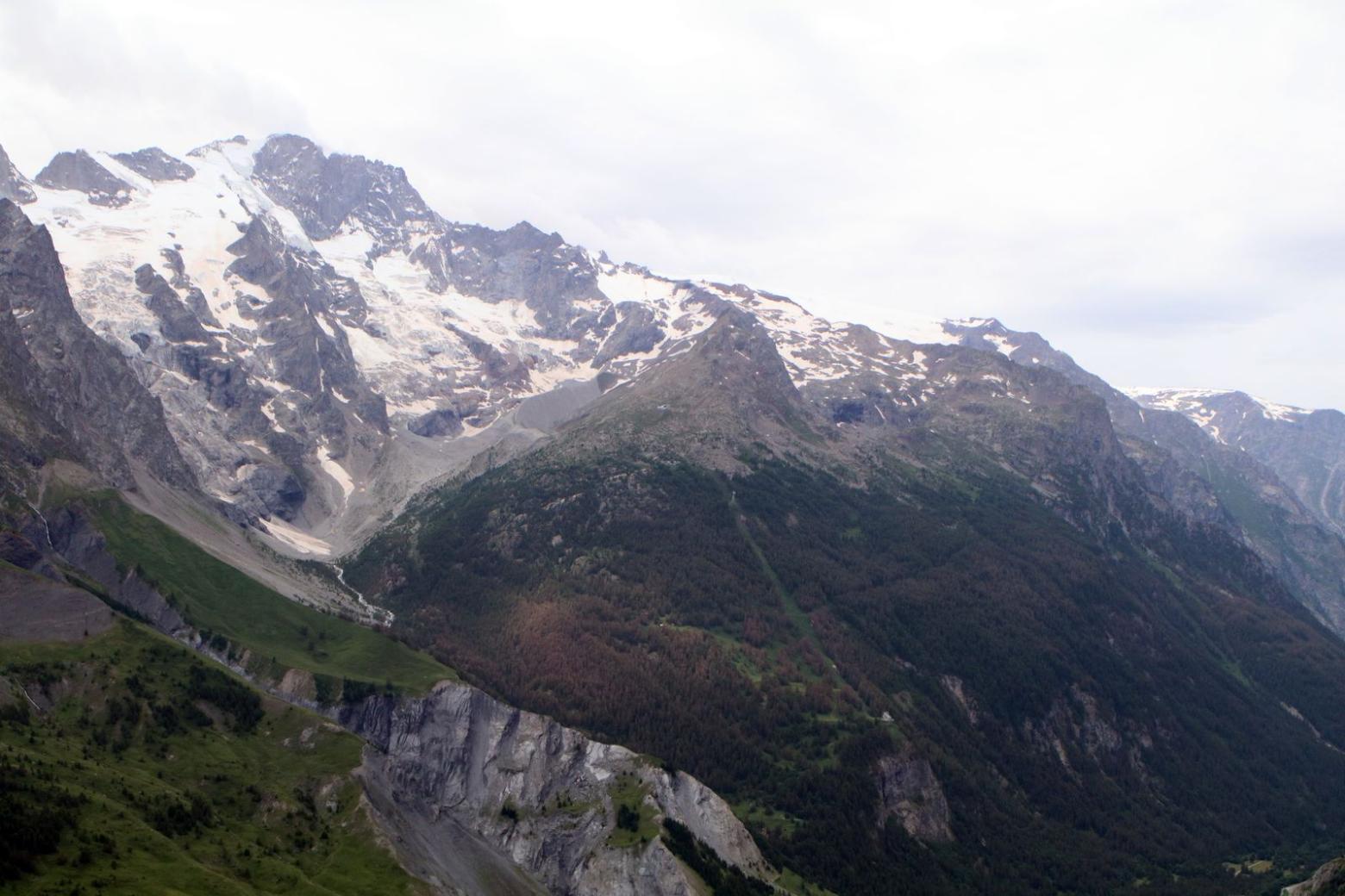 Tordeuse du mélèze - la Grave - juillet 2016  © C-Coursier - Parc national des Écrins