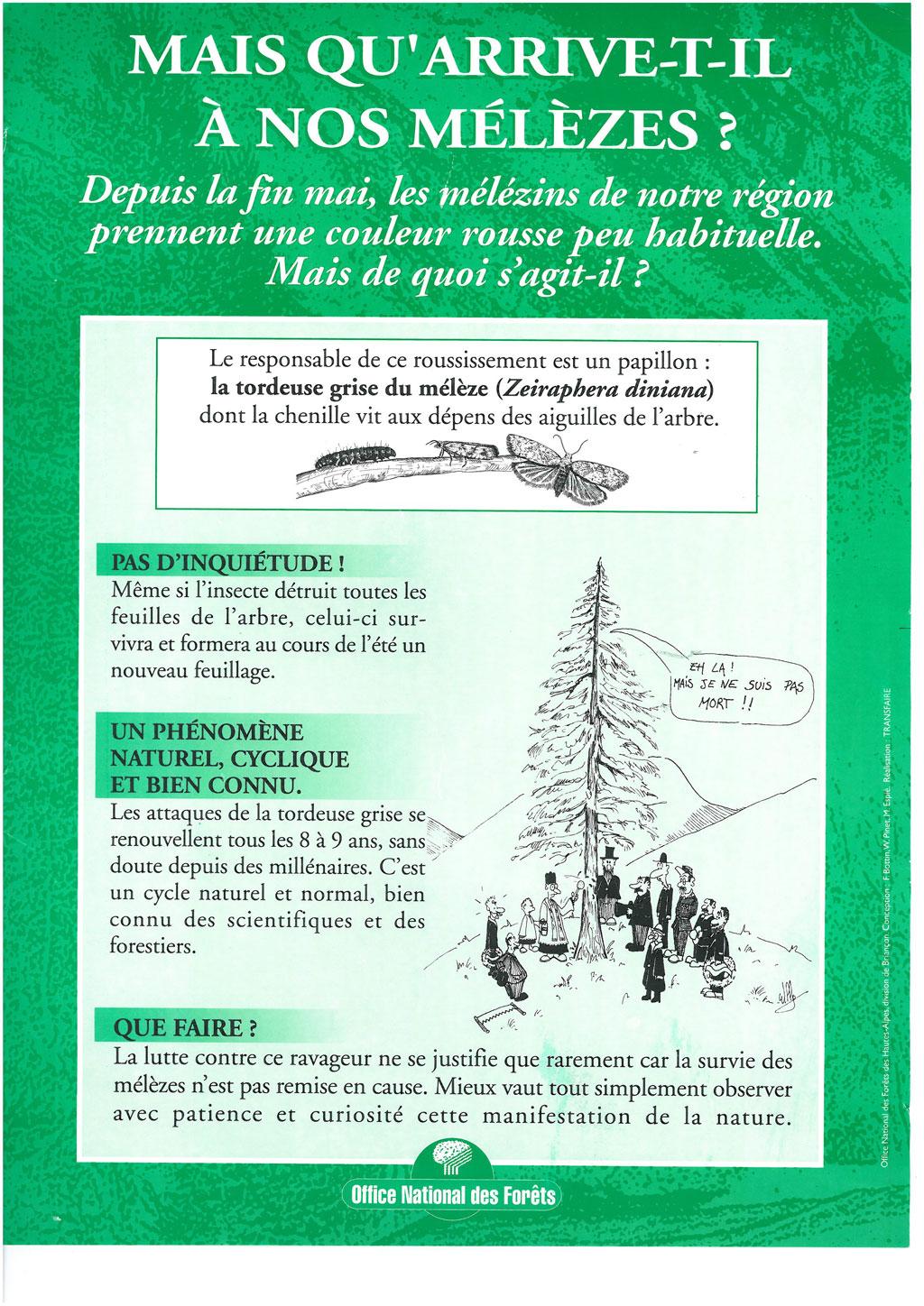affichette ONF tordeuse du mélèze