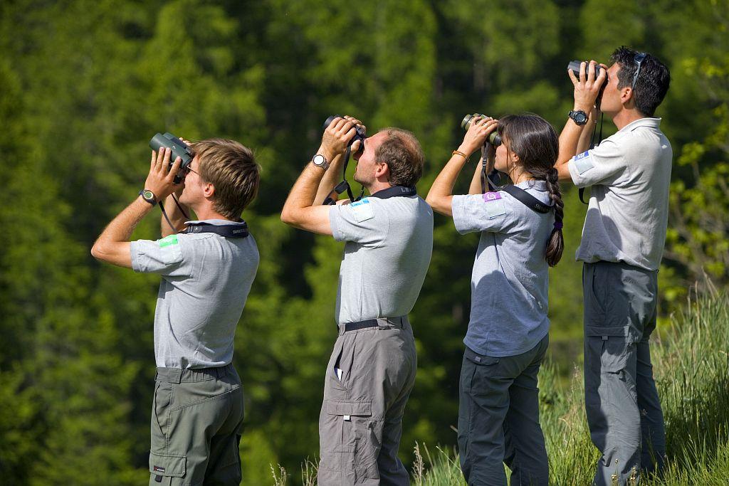 Gardes-moniteurs de 4 parcs nationaux différents en observation lors d'un stage ornithologie