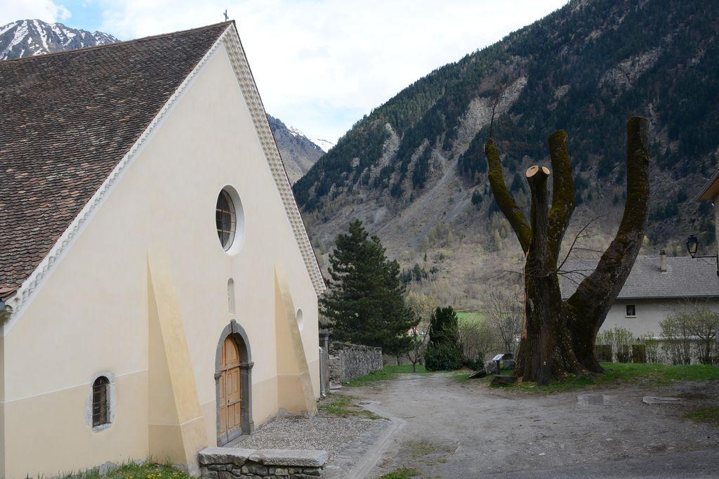 Tilleul église Saint-Maurice, taillé après le coup de vent de fev 2016 © D.Vincent - Parc national des Ecrins