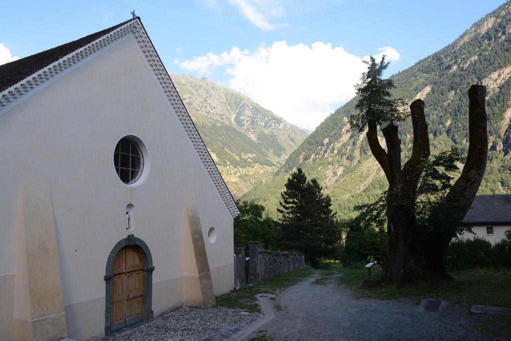 Tilleul Saint Maurice en Valgaudemar - été 2016 - © D.vincent - Parc national des Ecrins