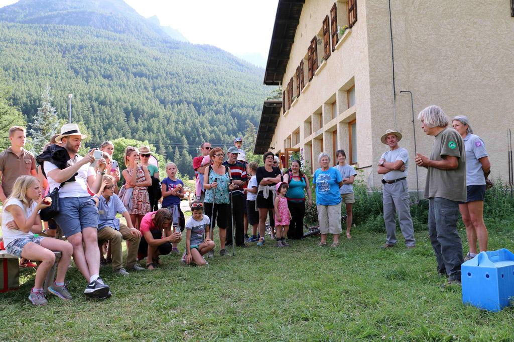 jeune faucon au centre de soin relâché au Casset en août 2016 par Michel Philsel et Hélène Quellier © Parc national des Ecrins