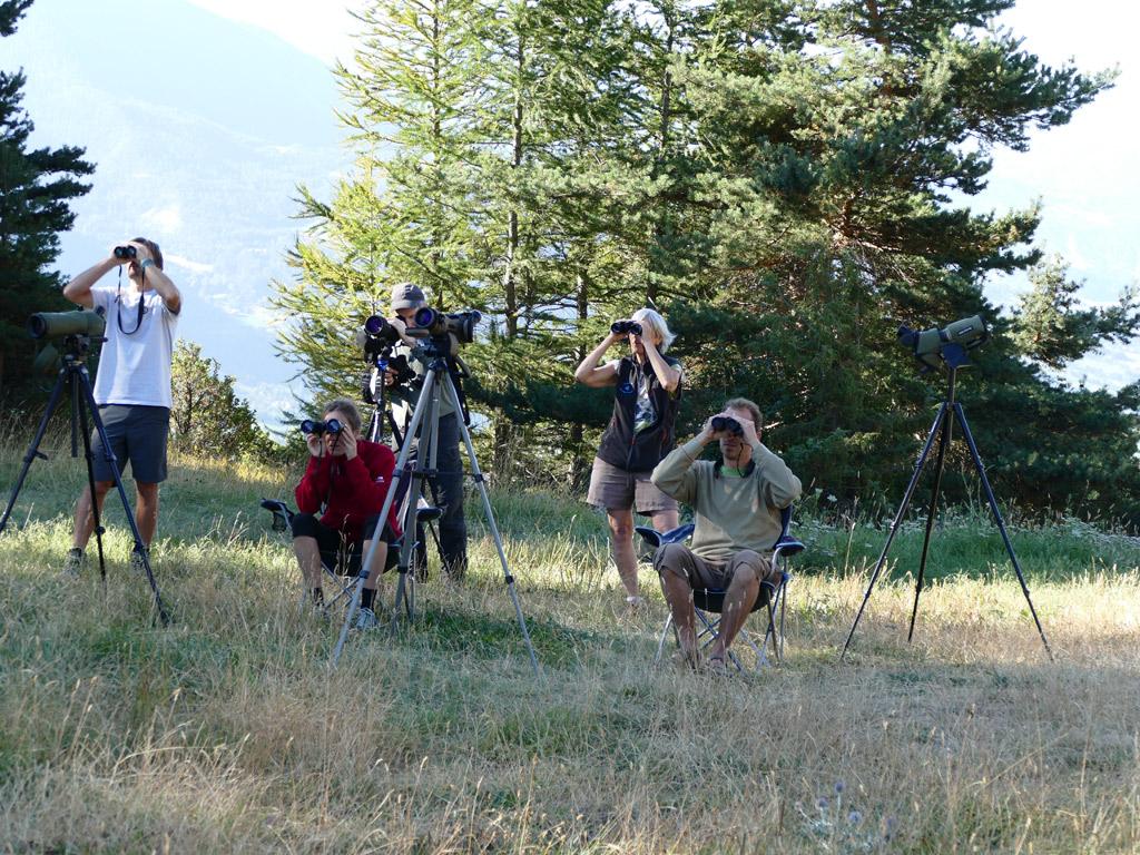 Les observateurs - Comptage migrateurs - Embrunais - août 2016 © Victor Zugmeyer - Parc national des Ecrins