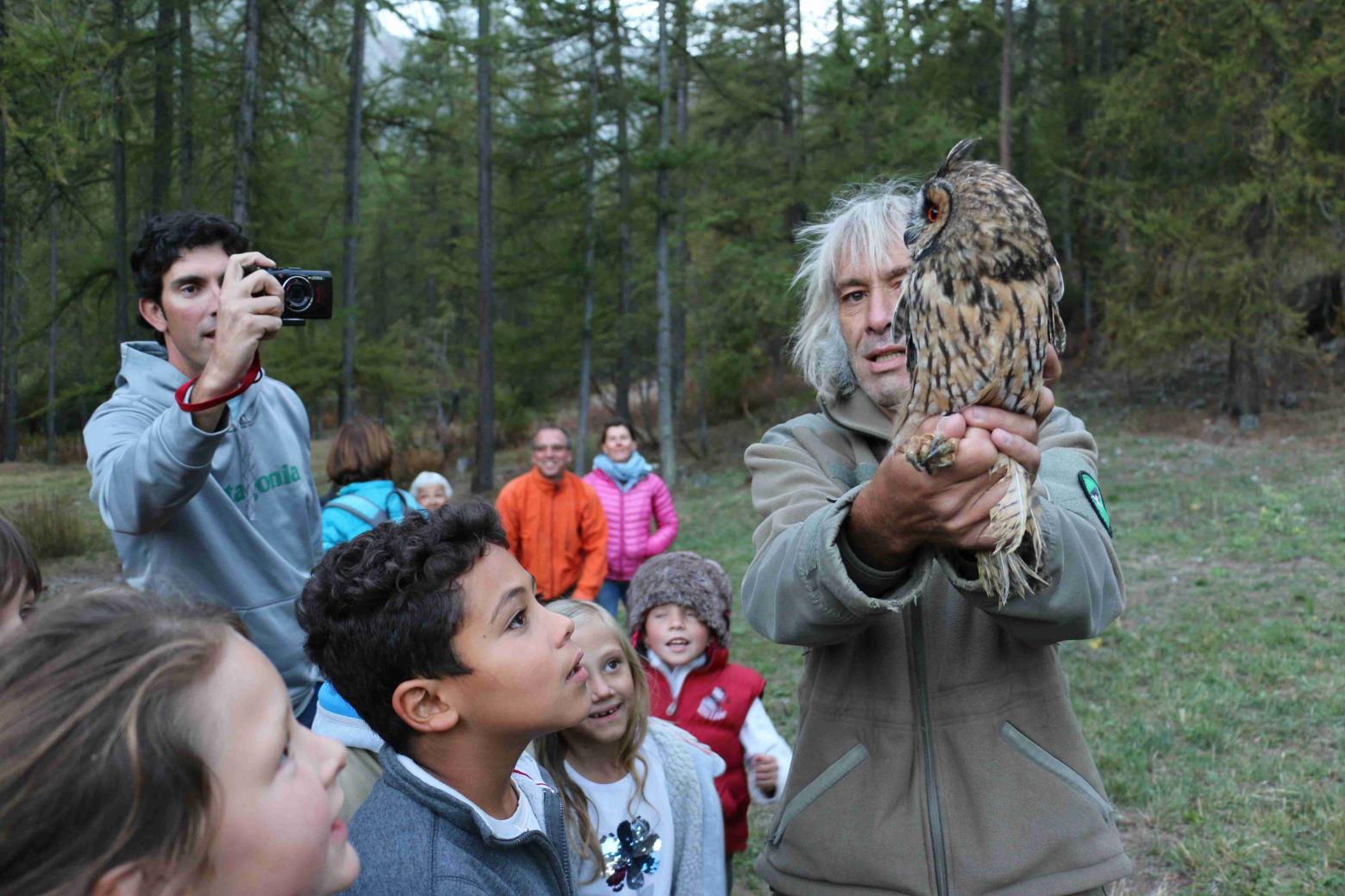 Lâcher d'un jeune hibou moyen duc dans le Briançonnais - © H-Quellier - Parc national des Ecrins