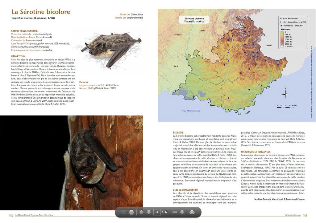 Atlas mammifères PACA - LPO - Page Sérotine bicolore