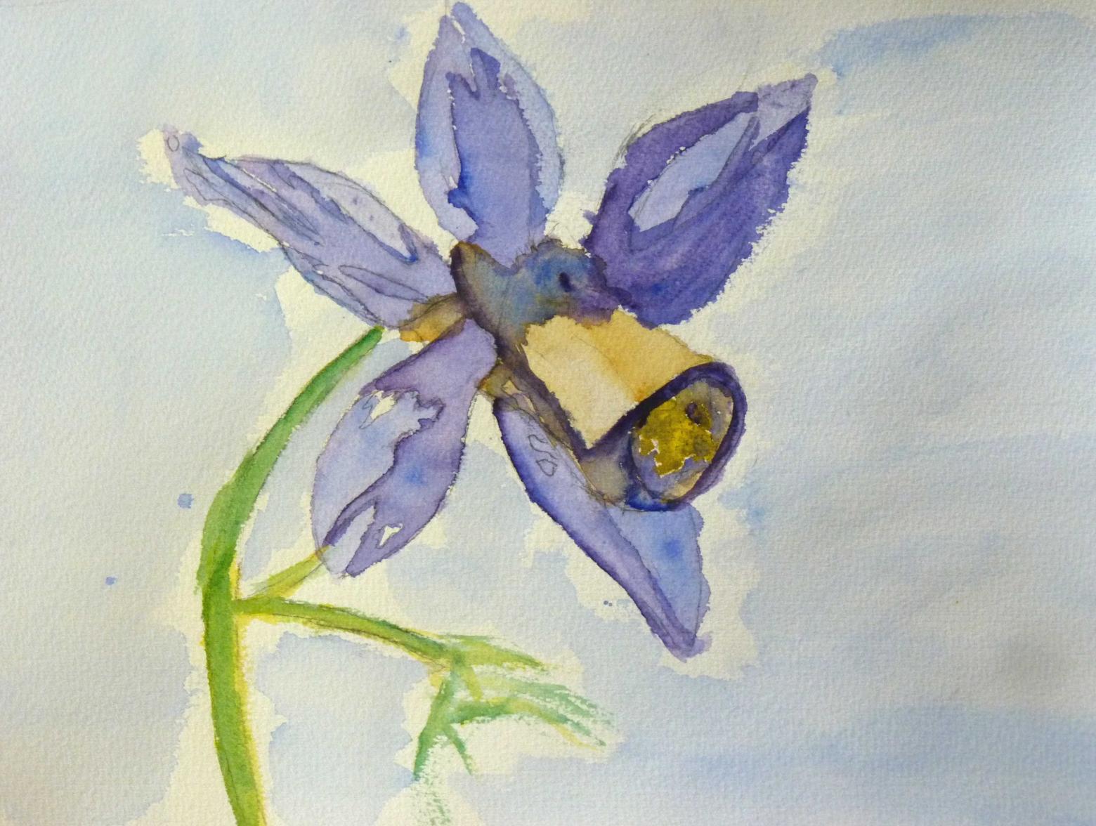 2eme prix 7/10 ans Concours de dessin Briançon 2016 © Parc national des Écrins