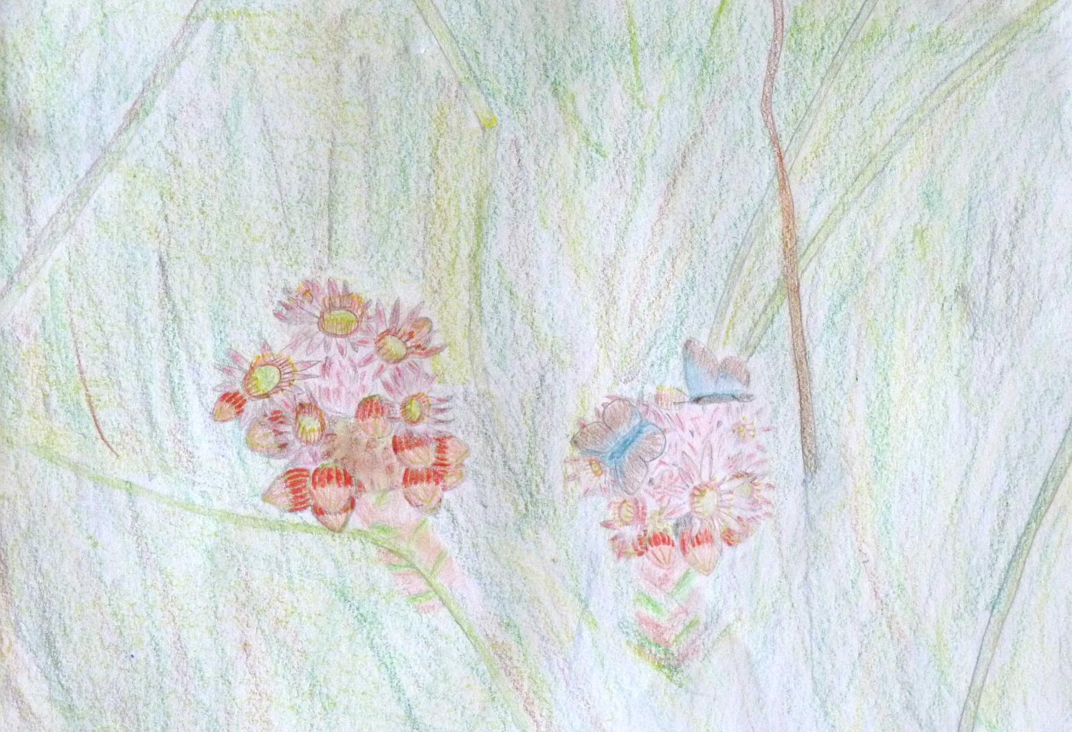2eme prix ados - Concours de dessin Briançon 2016 © Parc national des Écrins