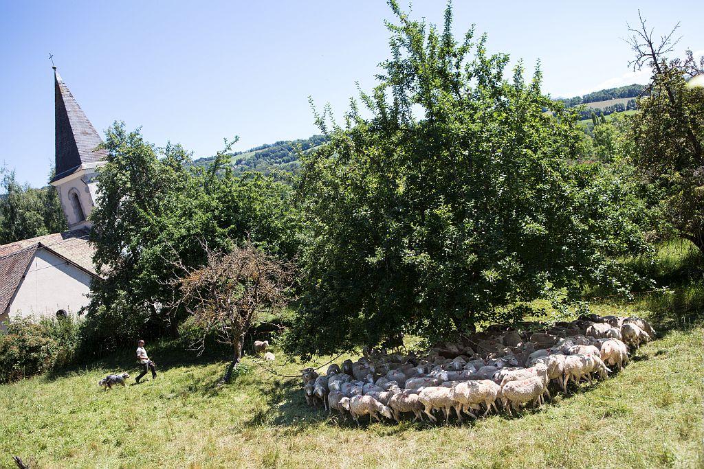 Ferme des Gentillons © P.Saulay - Parc national Ecrins