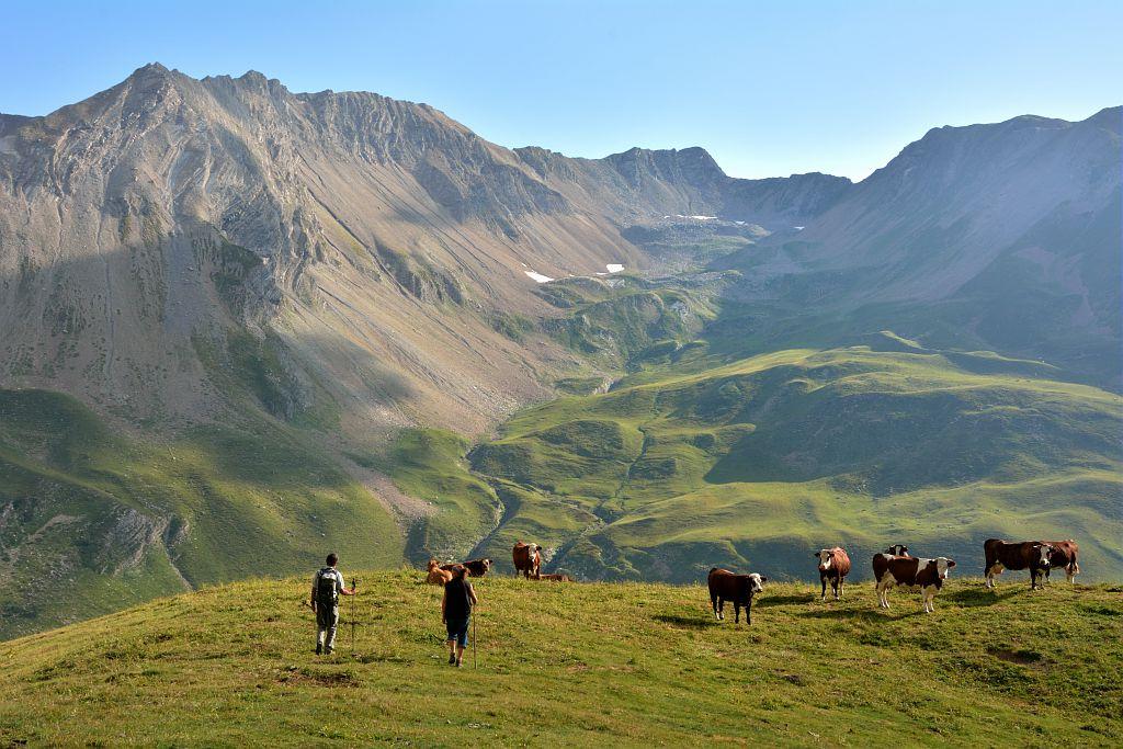 Pastoralisme © M.Coulon - PNE