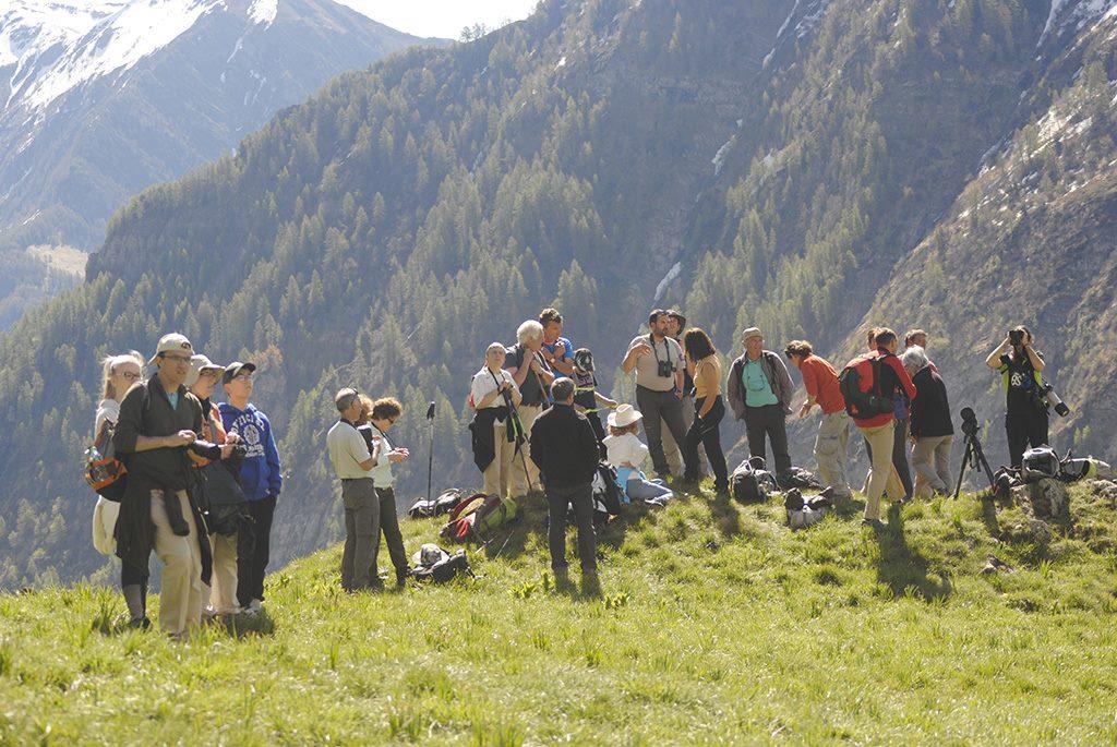 sorite bouquetins au Tourrond pour la fête de la nature - photo Lea Durand - Parc national des Ecrins