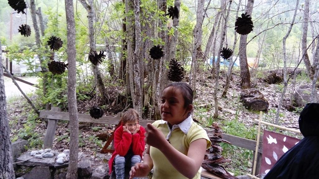 projet art et nature avec l'IME du Briançonnais - juin 2017 - avec le Parc national des Ecrins