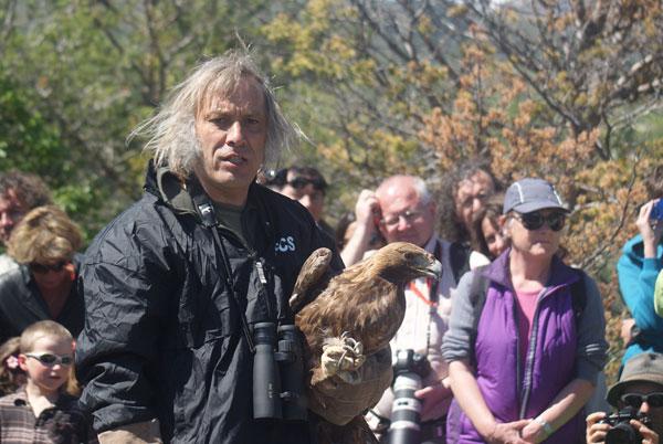 MIchel Phisel, lors du lâcher d'un aigle royal en 2013 dans l'Embrunais - photo R. Legoff