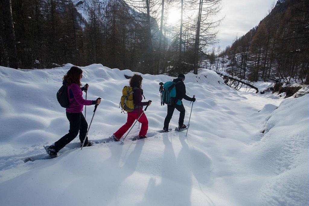 Sortie hiver Esprit parc national avec Philippe Chenal dans le Champsaur  - photo E.Rondeau - parcs nationaux de France