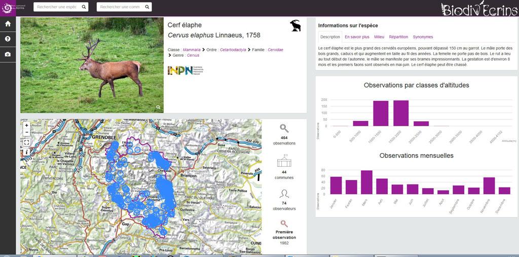 Le Cerf élaphe sur Biodiv'Ecrins par Aloïs Leroy stage 3ème au Parc national des Ecrins dans le Champsaur - dec 2017